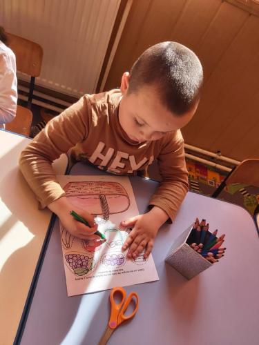 Activități "Școala Altfel"